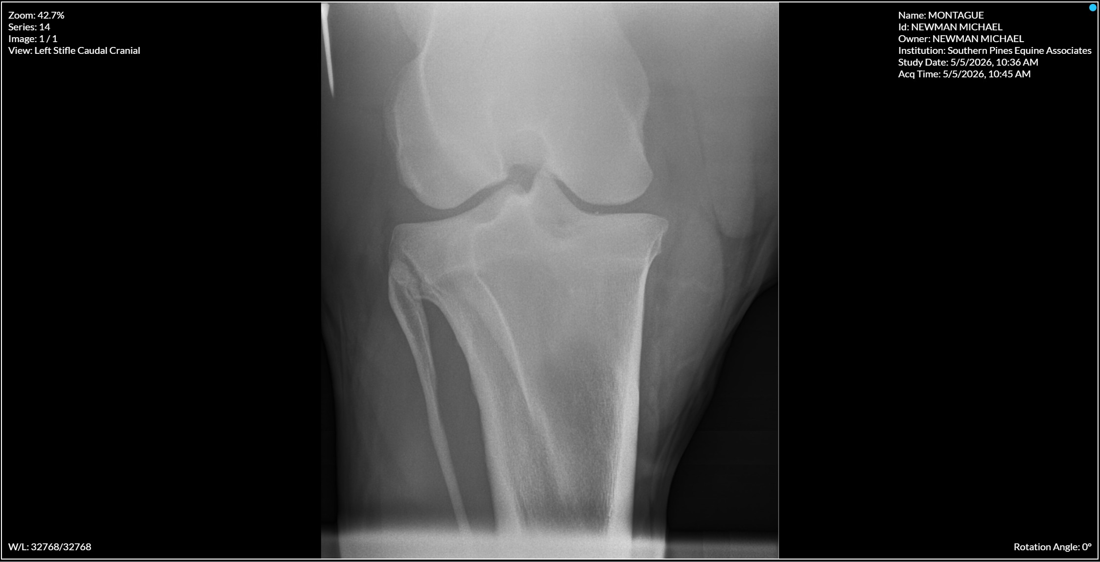 Left Stifle Caudal Cranial